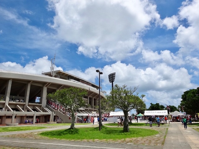 県総