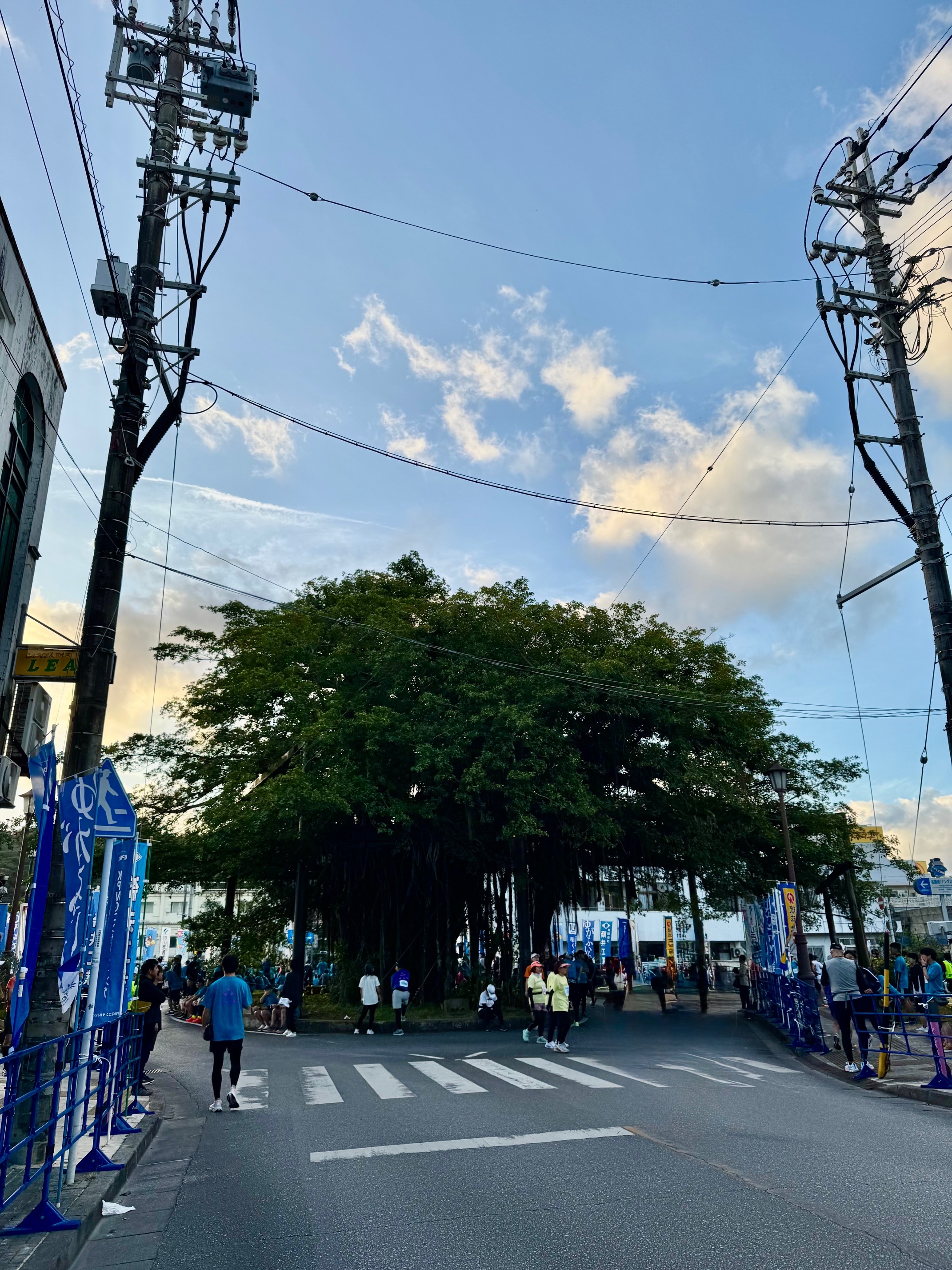 名護チャレンジラン