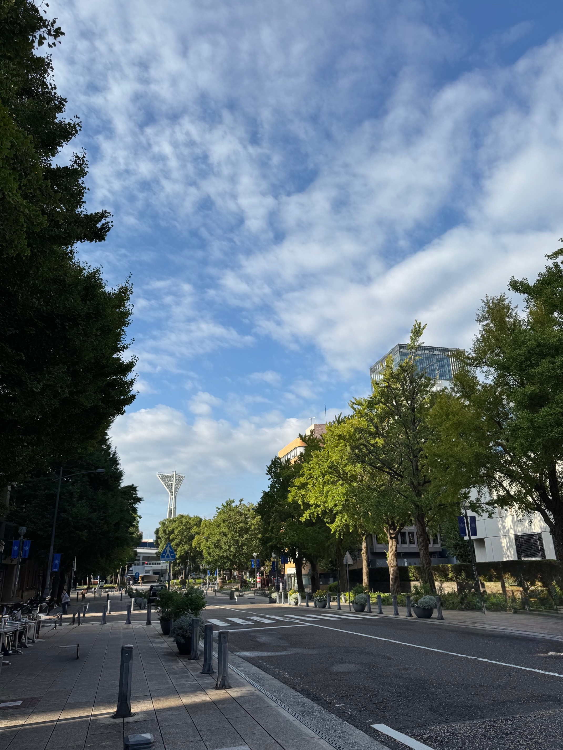 日本大通り