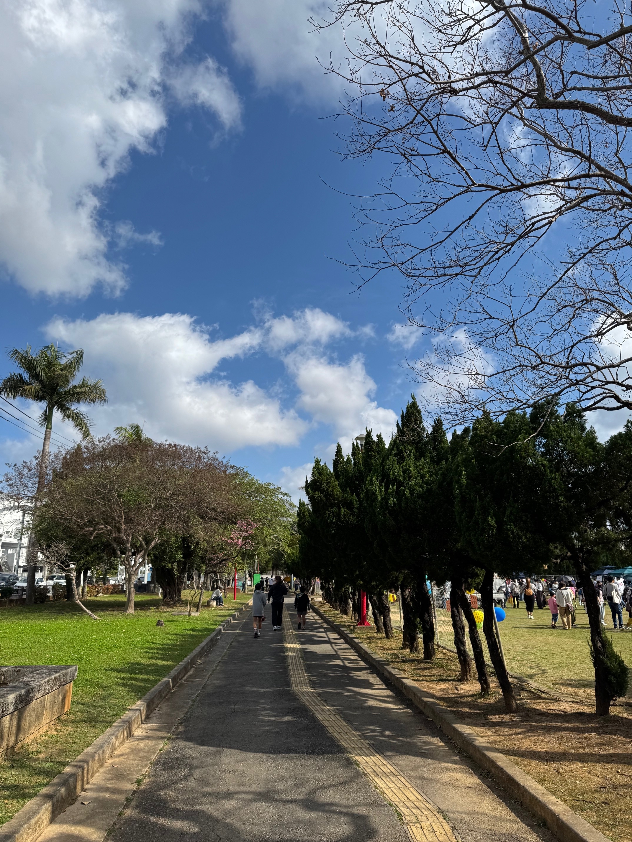ありがとう与儀公園まつり