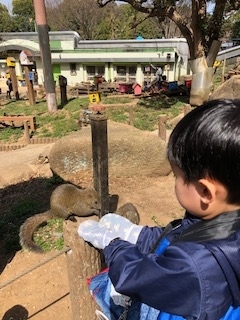 町田リス園