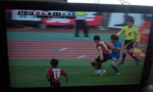 consadole